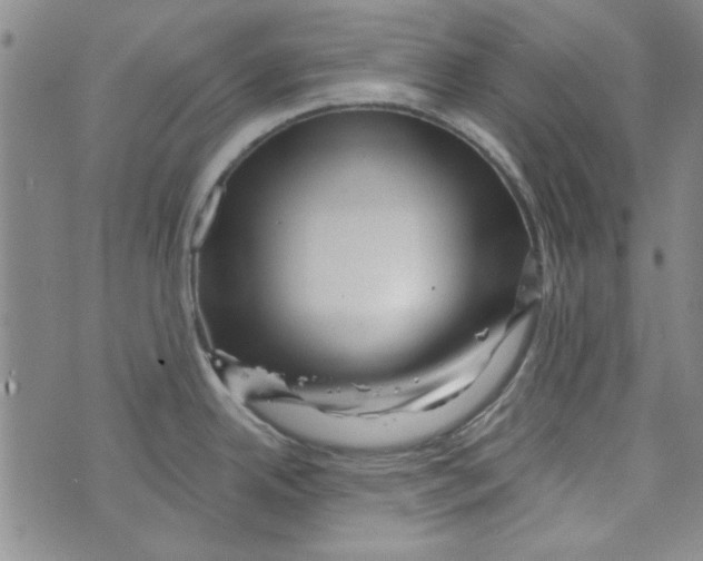 X0000073731342200608311835