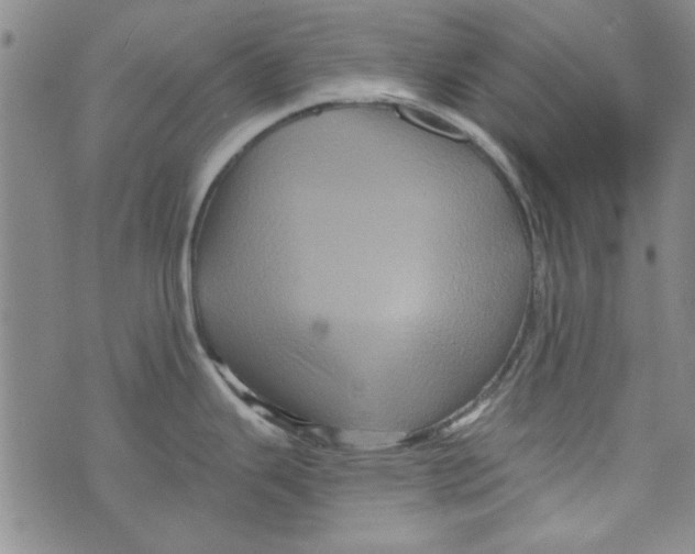 X0000073731343200608311836