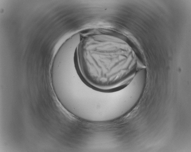 X0000073731344200608311836