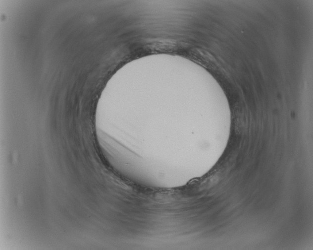 X0000073731345200608311835