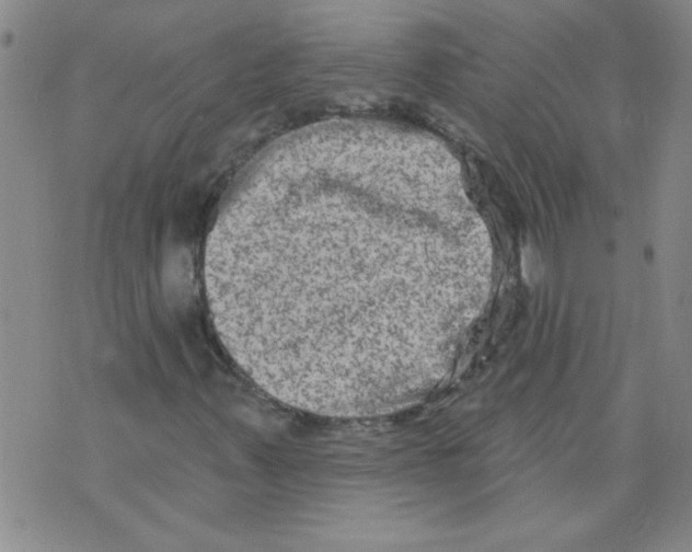 X0000073731347200608311835