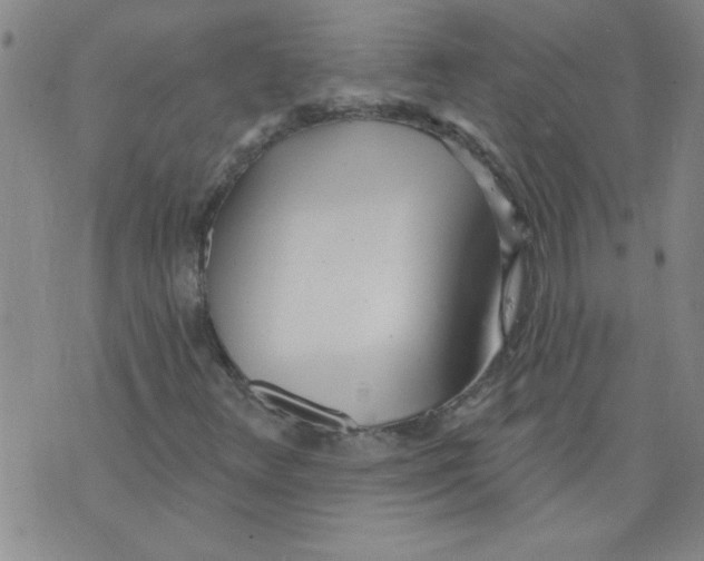 X0000073731348200608311835