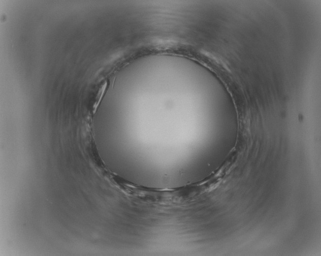 X0000073731349200608311835