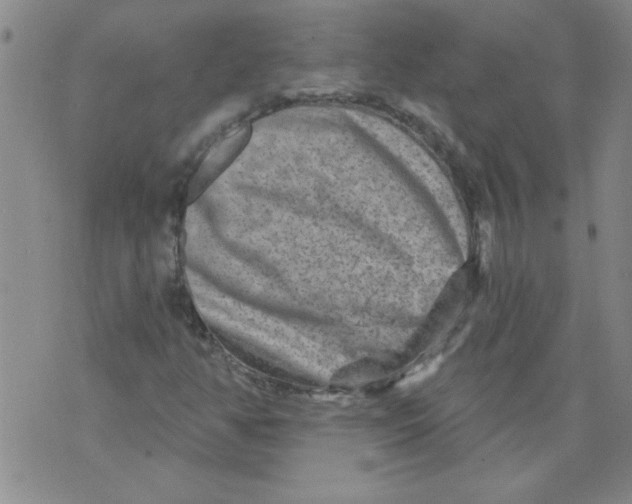 X0000073731350200608311835