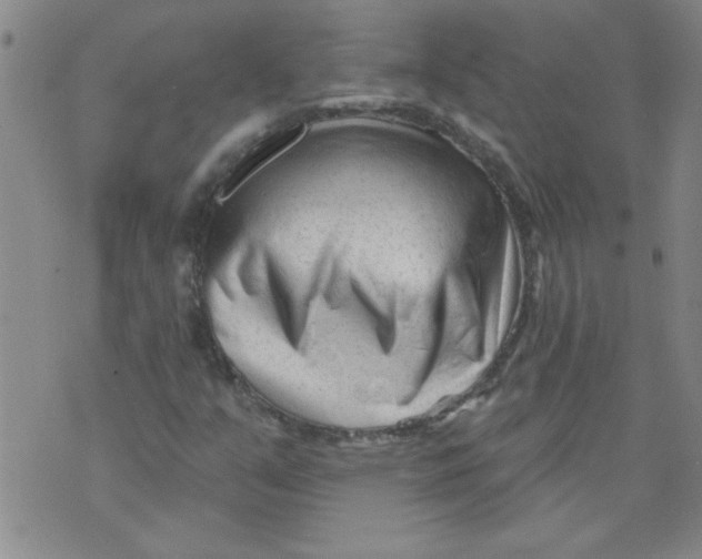 X0000073731351200608311835