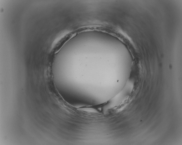 X0000073731352200608311835