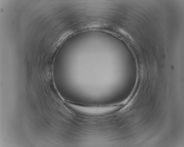 X0000073731353200608311835