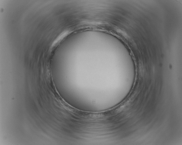 X0000073731354200608311835