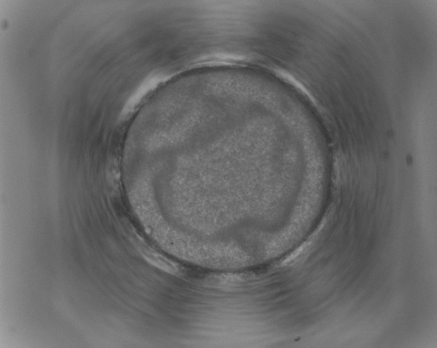 X0000073731355200608311835