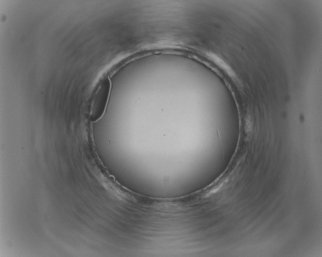 X0000073731356200608311835