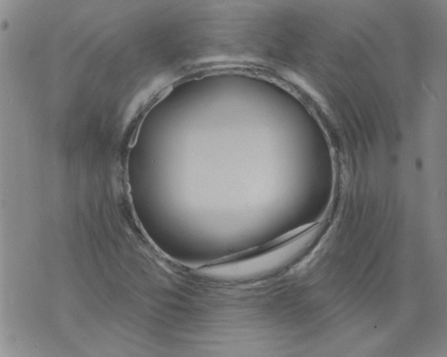 X0000073731357200608311835