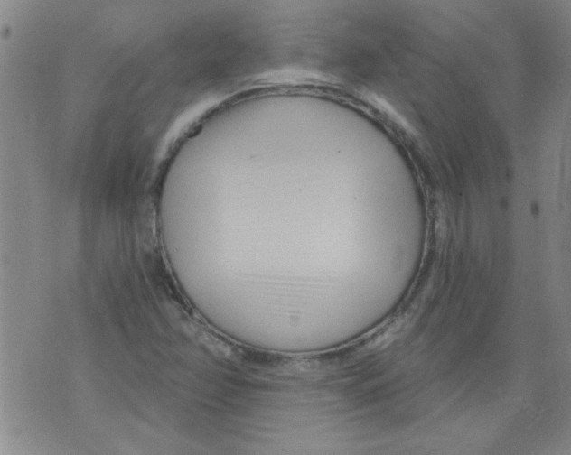 X0000073731358200608311835