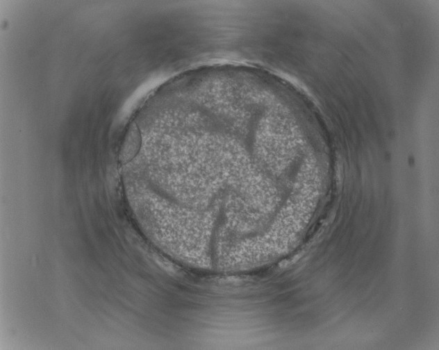 X0000073731359200608311835