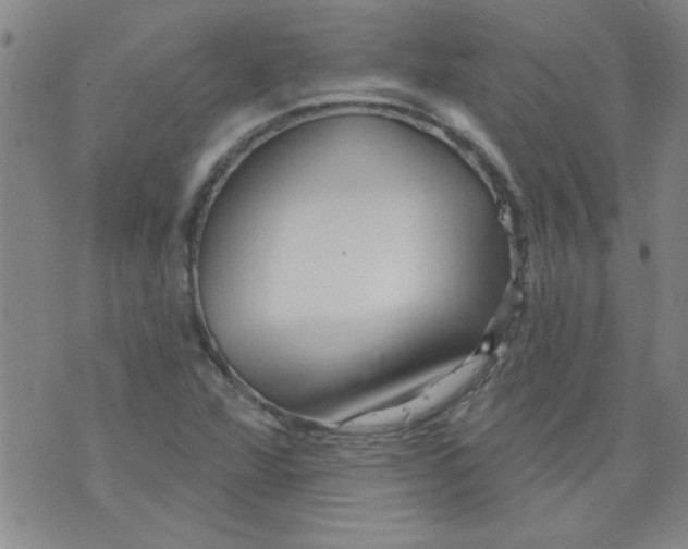 X0000073731360200608311834