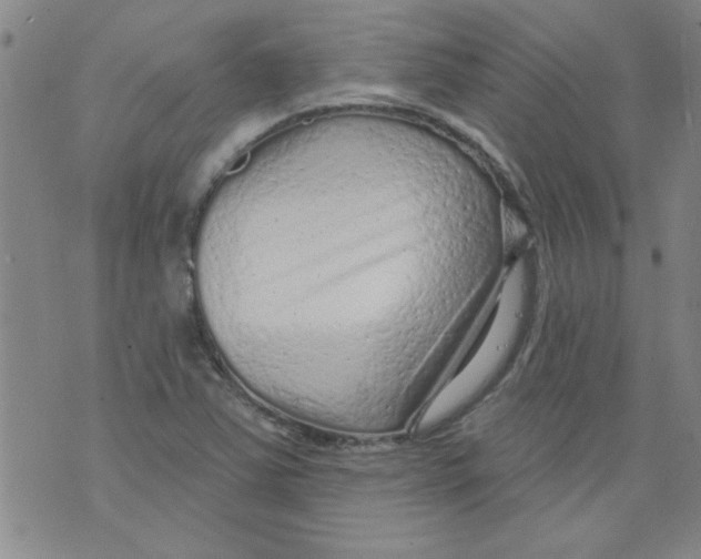 X0000073731363200608311834