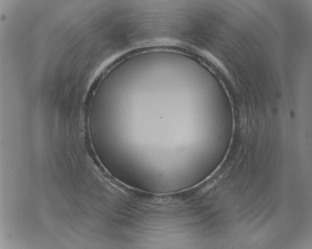 X0000073731364200608311834