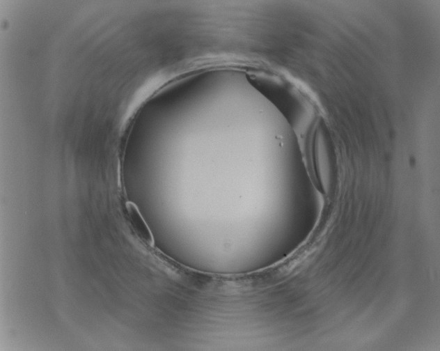 X0000073731365200608311834