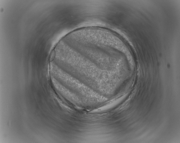 X0000073731366200608311834