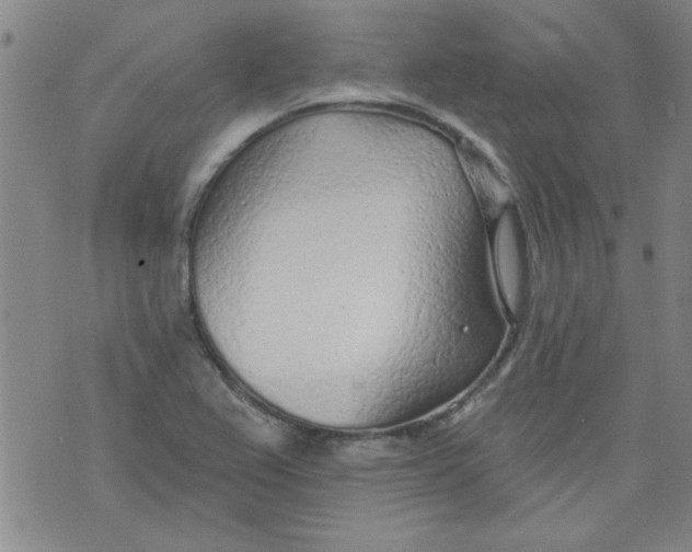 X0000073731367200608311834