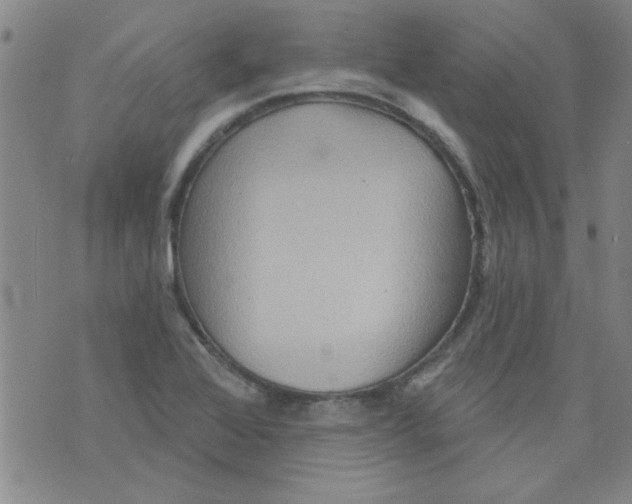 X0000073731368200608311834