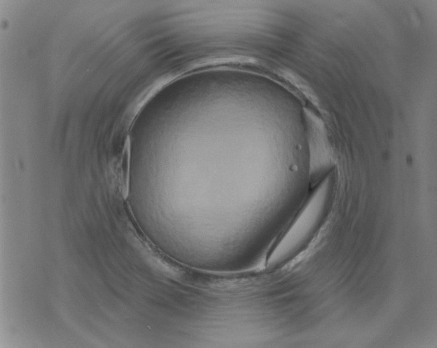 X0000073731369200608311834