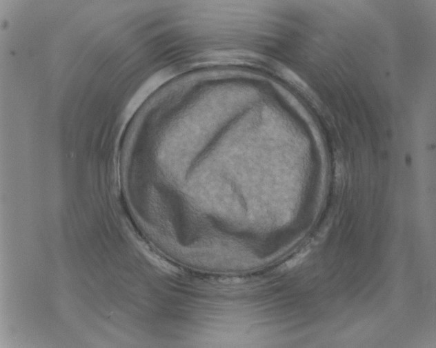 X0000073731370200608311834