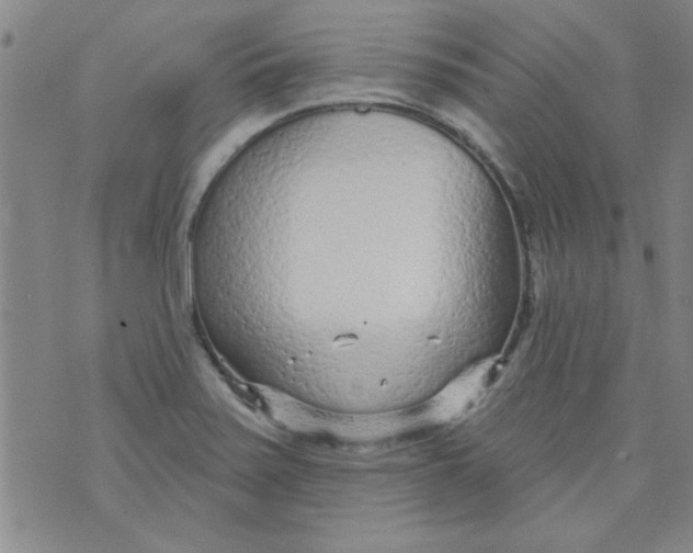 X0000073731371200608311834