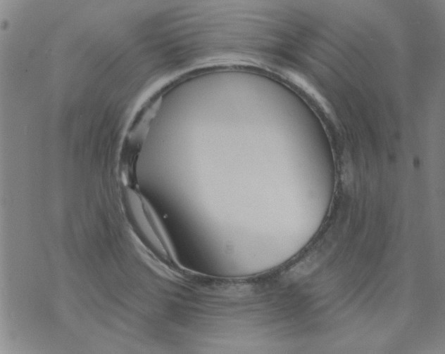 X0000073731372200608311834