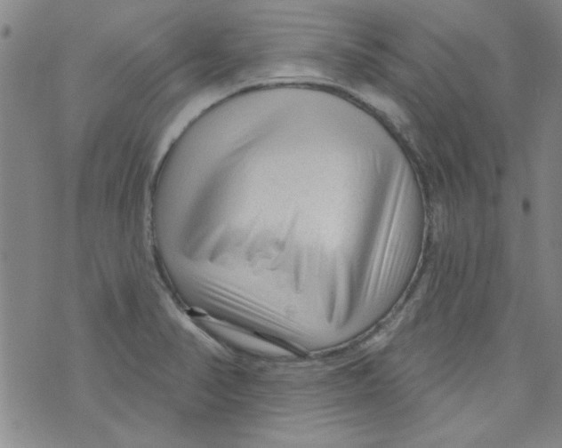 X0000073731374200608311834