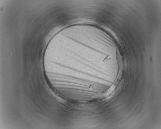 X0000073731375200608311834