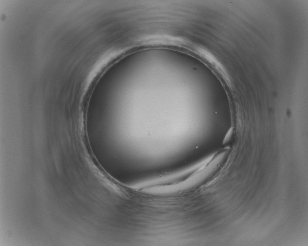 X0000073731376200608311834