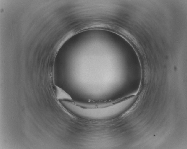 X0000073731377200608311834