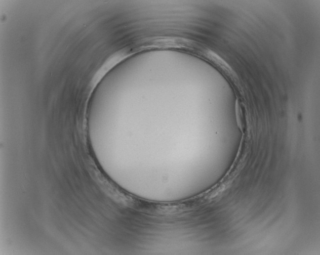 X0000073731378200608311834