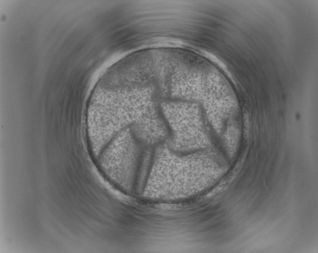 X0000073731379200608311834