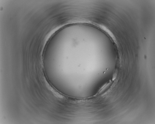 X0000073731380200608311834