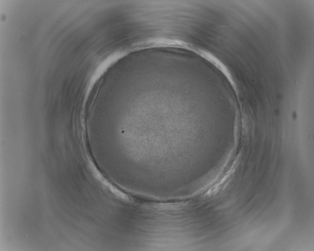 X0000073731381200608311834