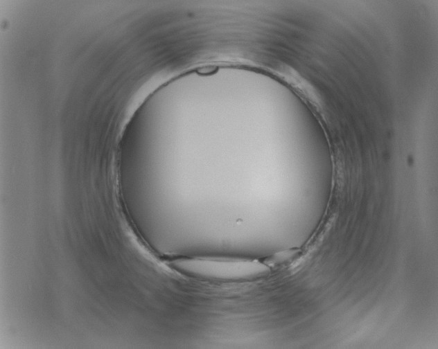 X0000073731382200608311834