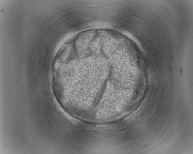 X0000073731383200608311834