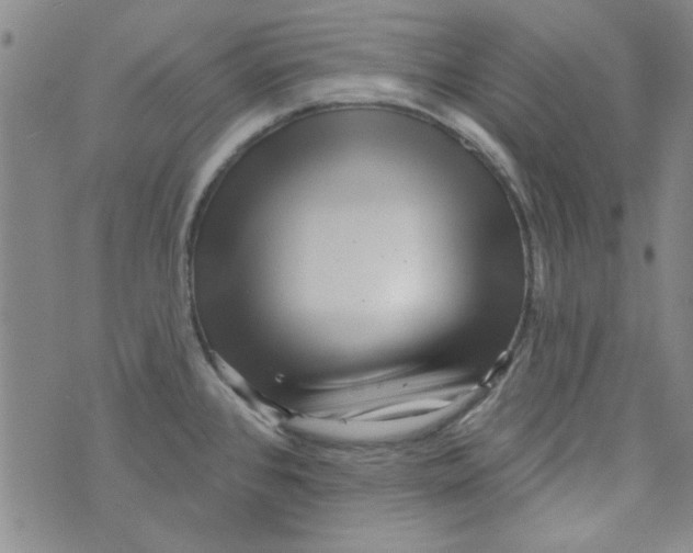 X0000073731384200608311834