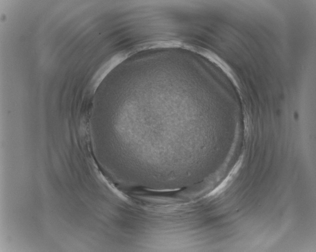 X0000073731385200608311834