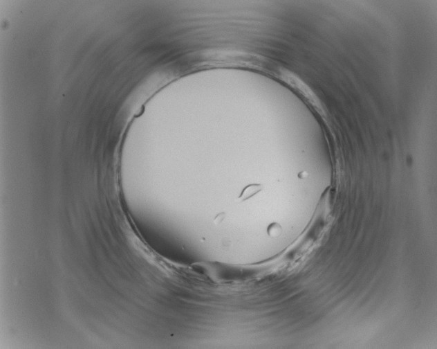 X0000073731386200608311834