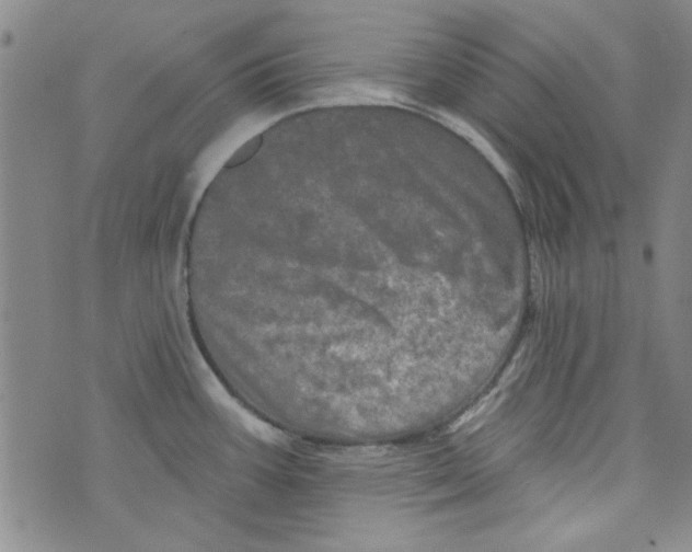 X0000073731387200608311834