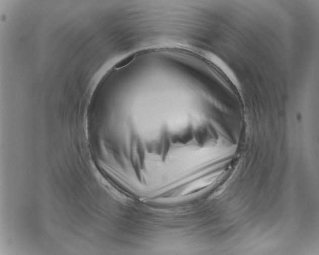 X0000073731388200608311834