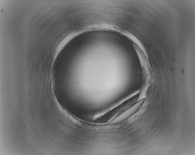 X0000073731389200608311834