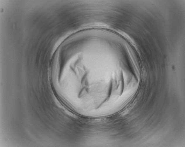 X0000073731390200608311834