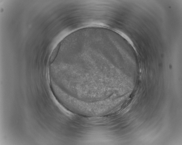 X0000073731391200608311834