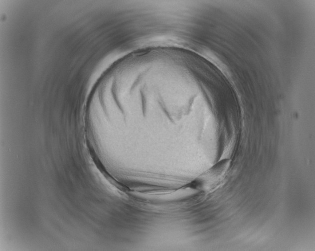 X0000073731392200608311834