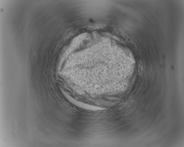 X0000073731393200608311833