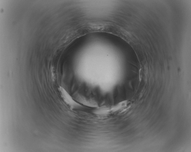 X0000073731394200608311833