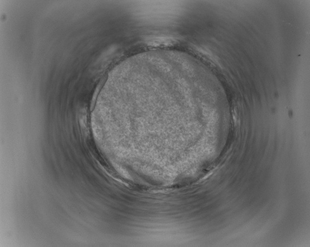 X0000073731396200608311833